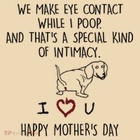 Dachshund Dog We Make Eye Contact While I Poop Happy Mothers Day Funny Gift Tote Bag thumb 4