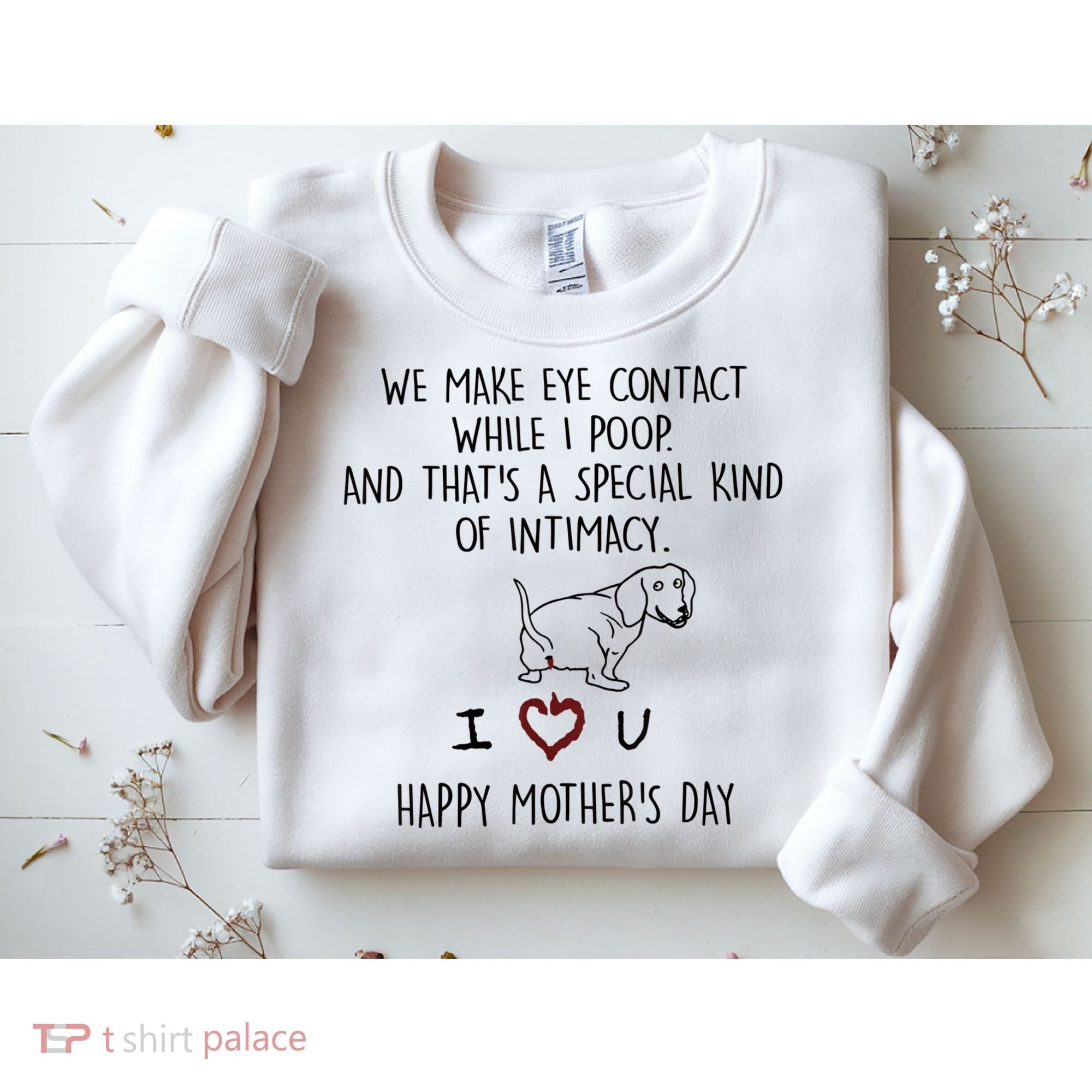 Dachshund Dog We Make Eye Contact While I Poop Happy Mothers Day Funny Gift Sweatshirt
