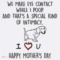 Dachshund Dog We Make Eye Contact While I Poop Happy Mothers Day Funny Gift T-Shirt thumb 7