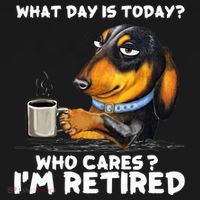 Dachshudn Dog What Day Is Today Who Care I‘m Retired Gift Bucket Hat thumb 4