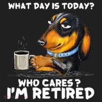 Dachshudn Dog What Day Is Today Who Care I‘m Retired Gift Beanie thumb 2