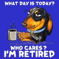 Dachshudn Dog What Day Is Today Who Care I‘m Retired Gift Sweatshirt thumb 3