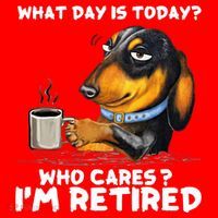 Dachshudn Dog What Day Is Today Who Care I‘m Retired Gift Santa Hat thumb 1