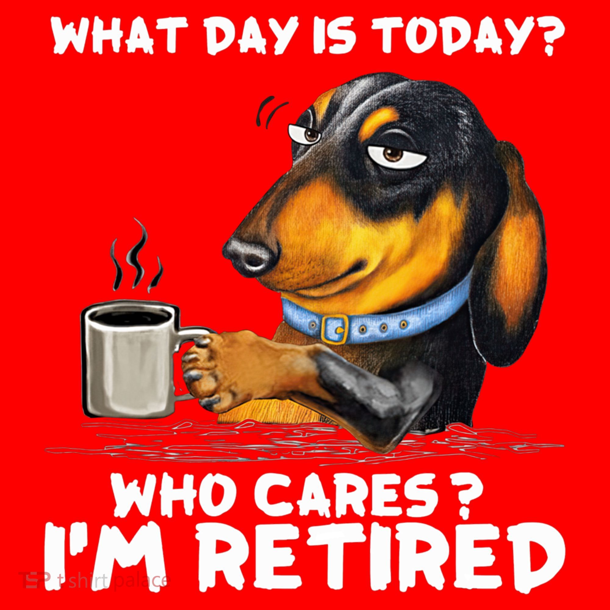 Dachshudn Dog What Day Is Today Who Care I‘m Retired Gift Santa Hat