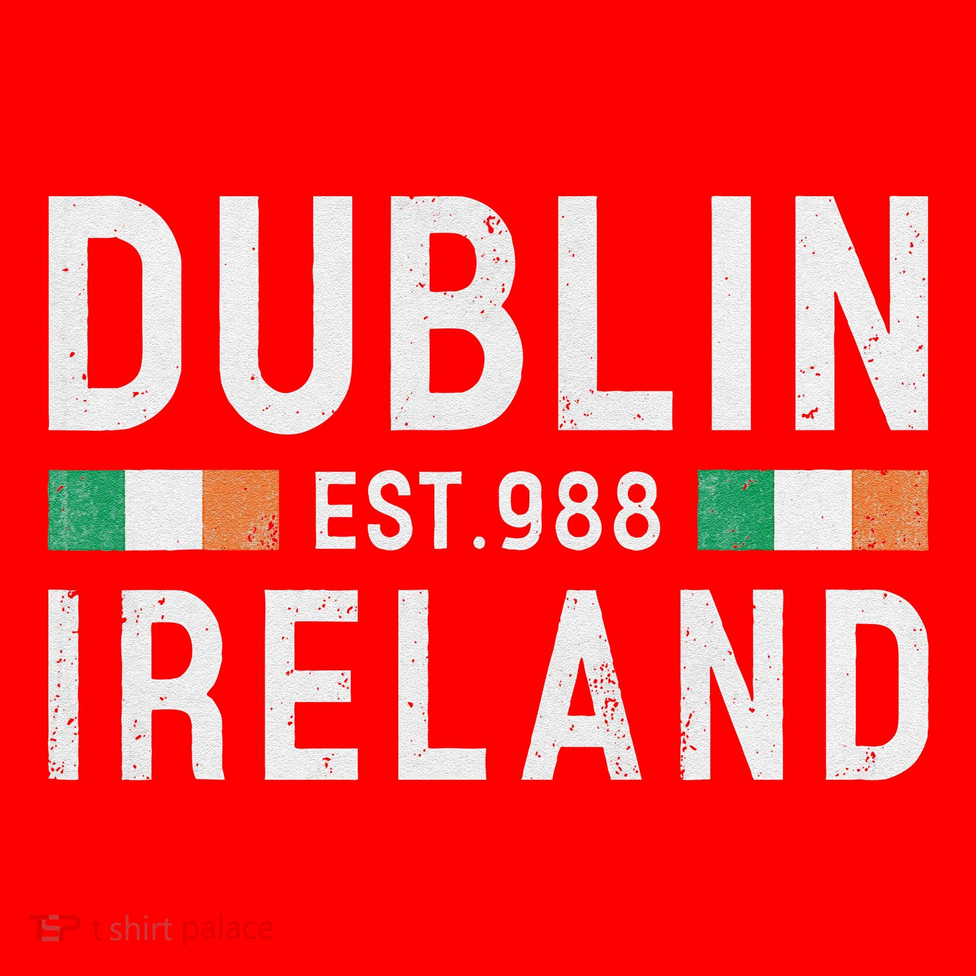 Dublin Est. 988 Ireland Irish St PatrickS Day Santa Hat