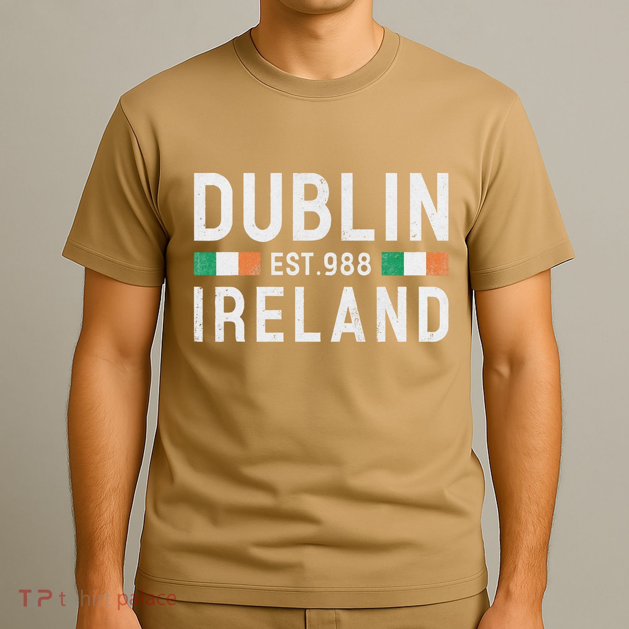 Dublin Est. 988 Ireland Irish St PatrickS Day T-Shirt