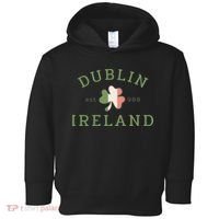 Dublin Est 988 Ireland Flag Shamrock Groovy St Patrick Day Toddler Hoodie thumb 0