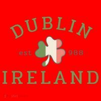 Dublin Est 988 Ireland Flag Shamrock Groovy St Patrick Day Santa Hat thumb 1