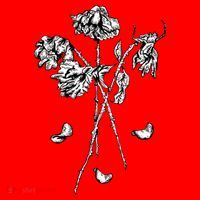 Dead Roses Kids T-Shirt thumb 4