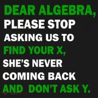 Dear Algebra Find Your X And Don't Tell Y Hoodie thumb 7