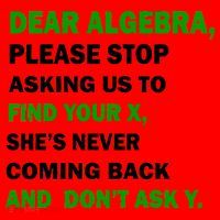Dear Algebra Find Your X And Don't Tell Y Santa Hat thumb 1