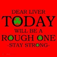 Dear Liver Today Will Be A Rough One Stay Strong Santa Hat thumb 1