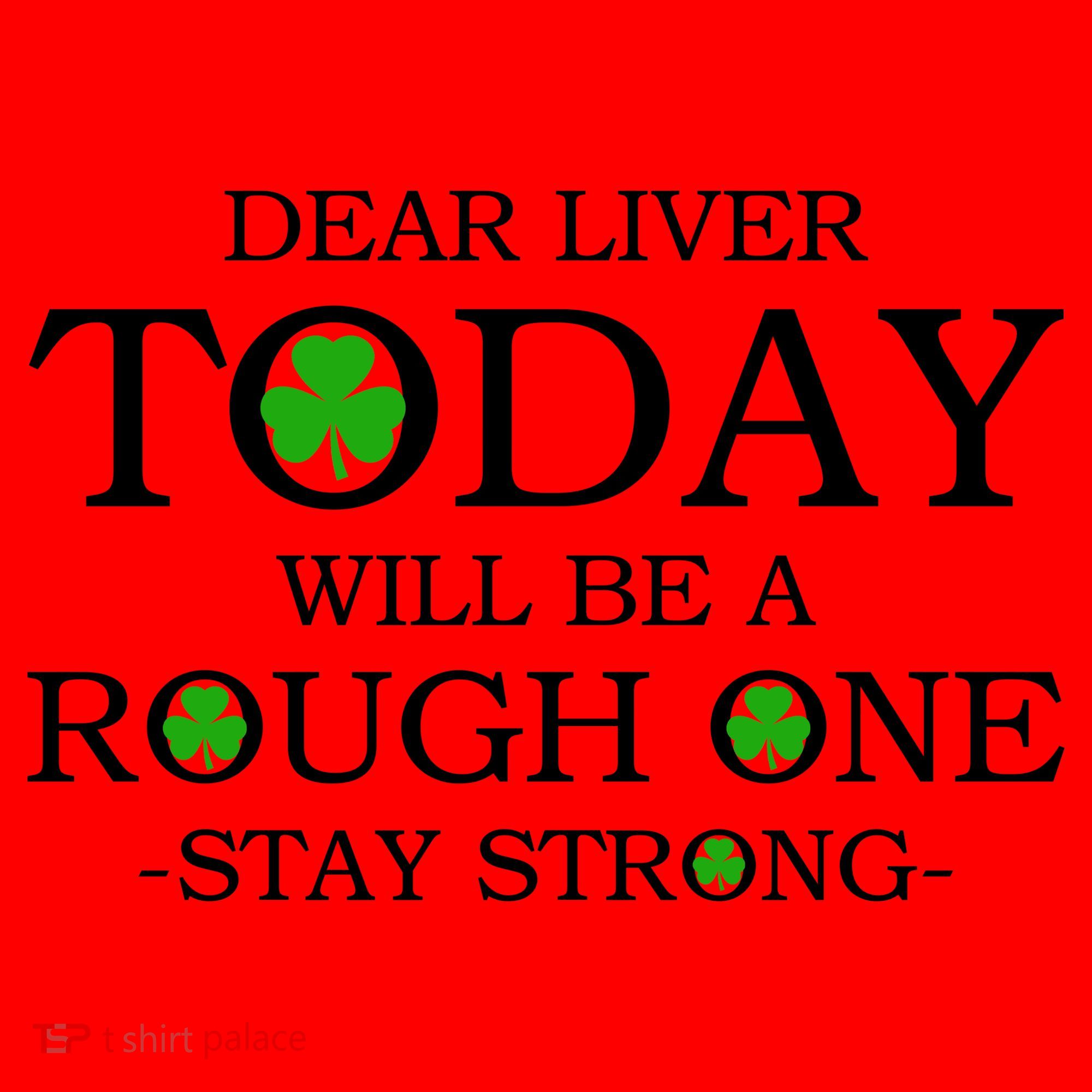 Dear Liver Today Will Be A Rough One Stay Strong Santa Hat