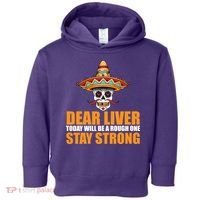 Dear Liver Today Will Be A Rough One Stay Strong1 Toddler Hoodie thumb 0