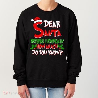 Dear Santa Before I Explain How Much Do You know Women's Sweatshirt