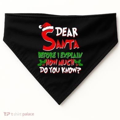 Dear Santa Before I Explain How Much Do You know USA-Made Doggie Bandana