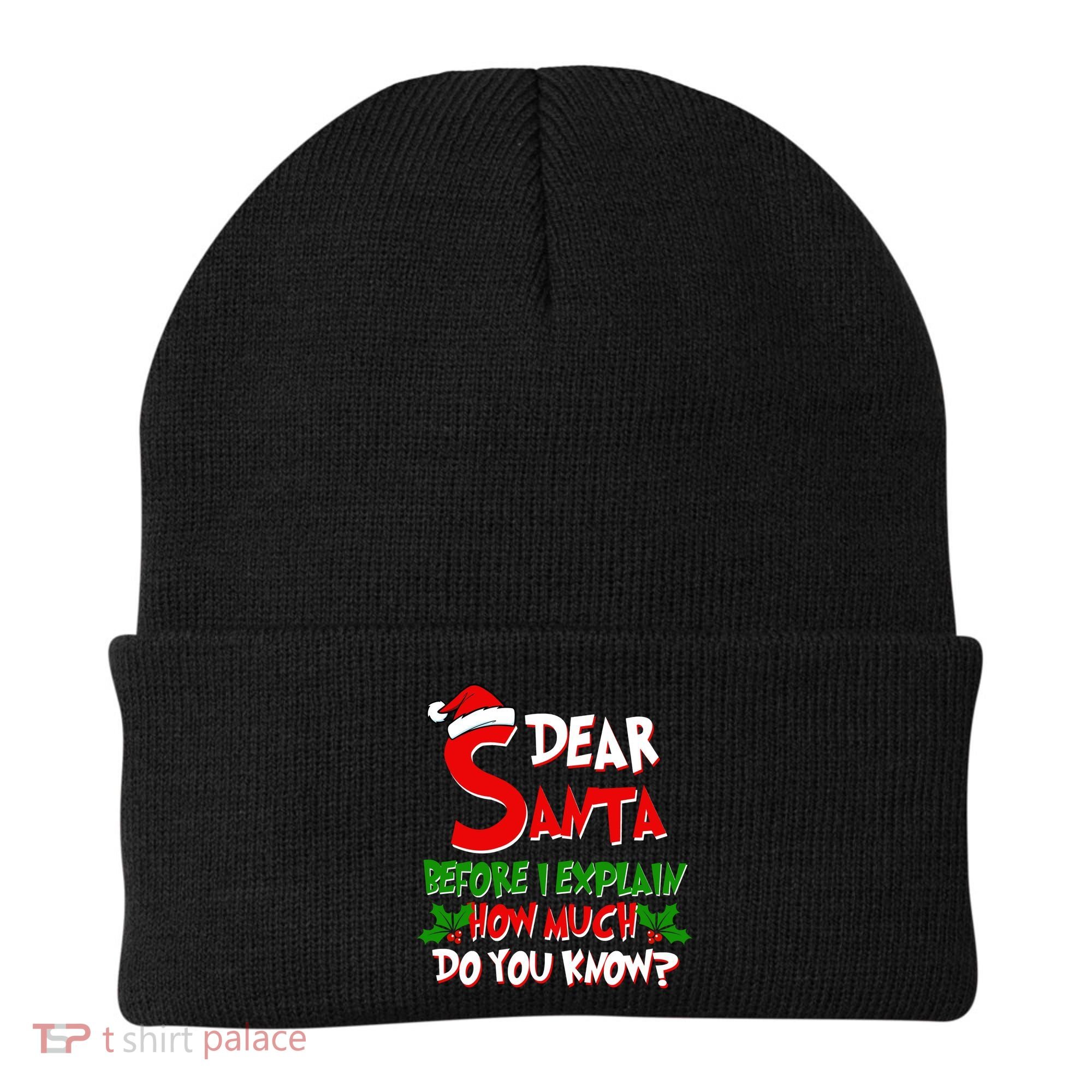 Dear Santa Before I Explain How Much Do You know Beanie