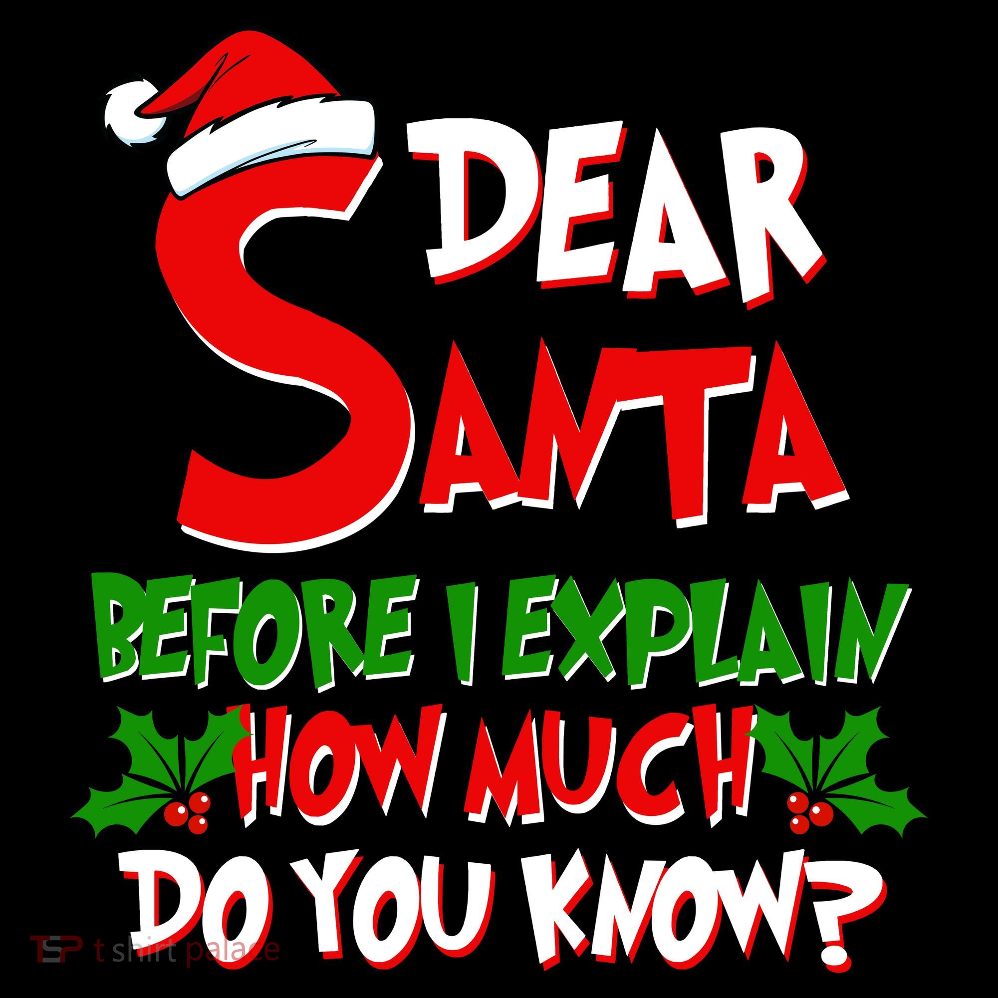 Dear Santa Before I Explain How Much Do You know Women's Hoodie