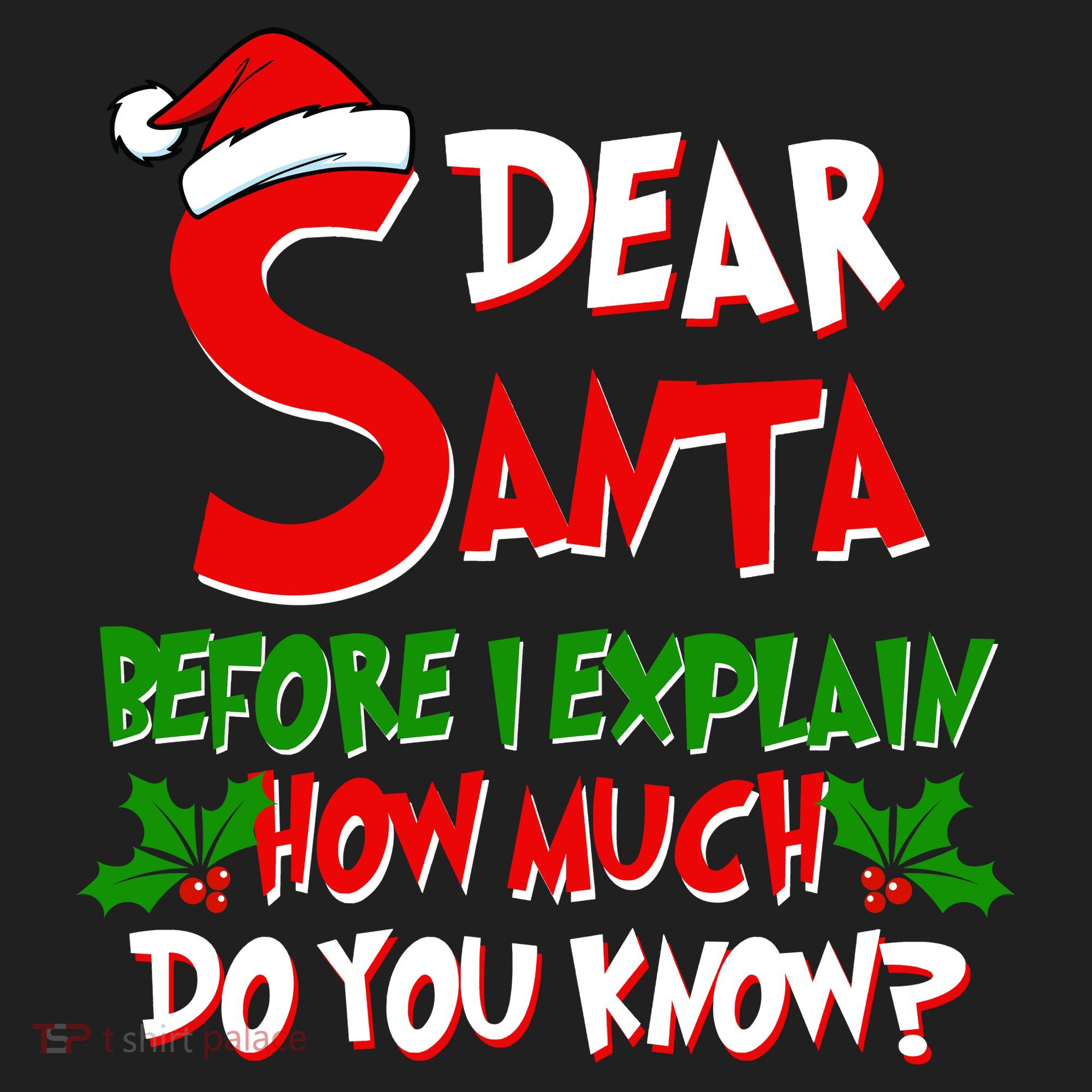 Dear Santa Before I Explain How Much Do You know Tumbler