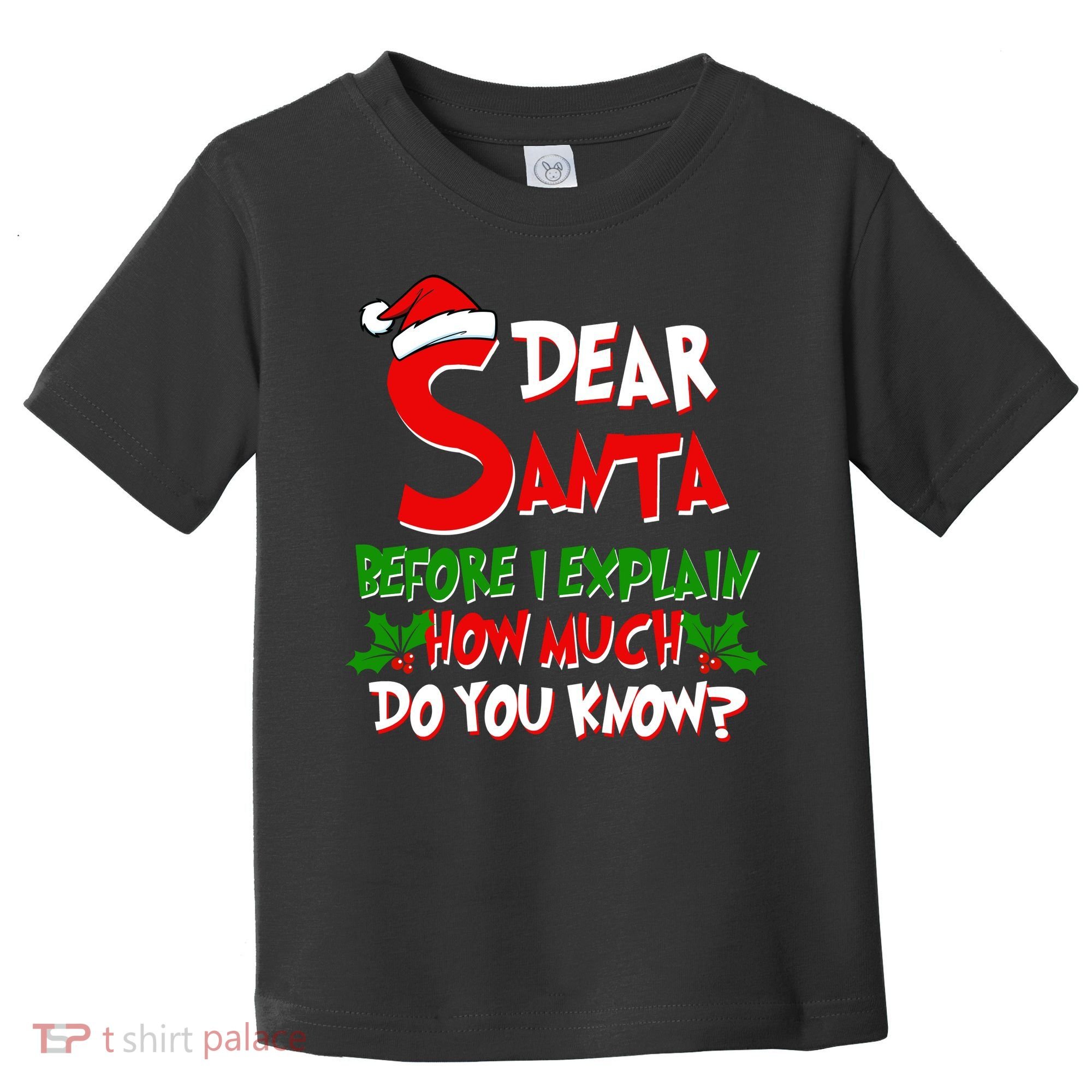 Dear Santa Before I Explain How Much Do You know Toddler T-Shirt