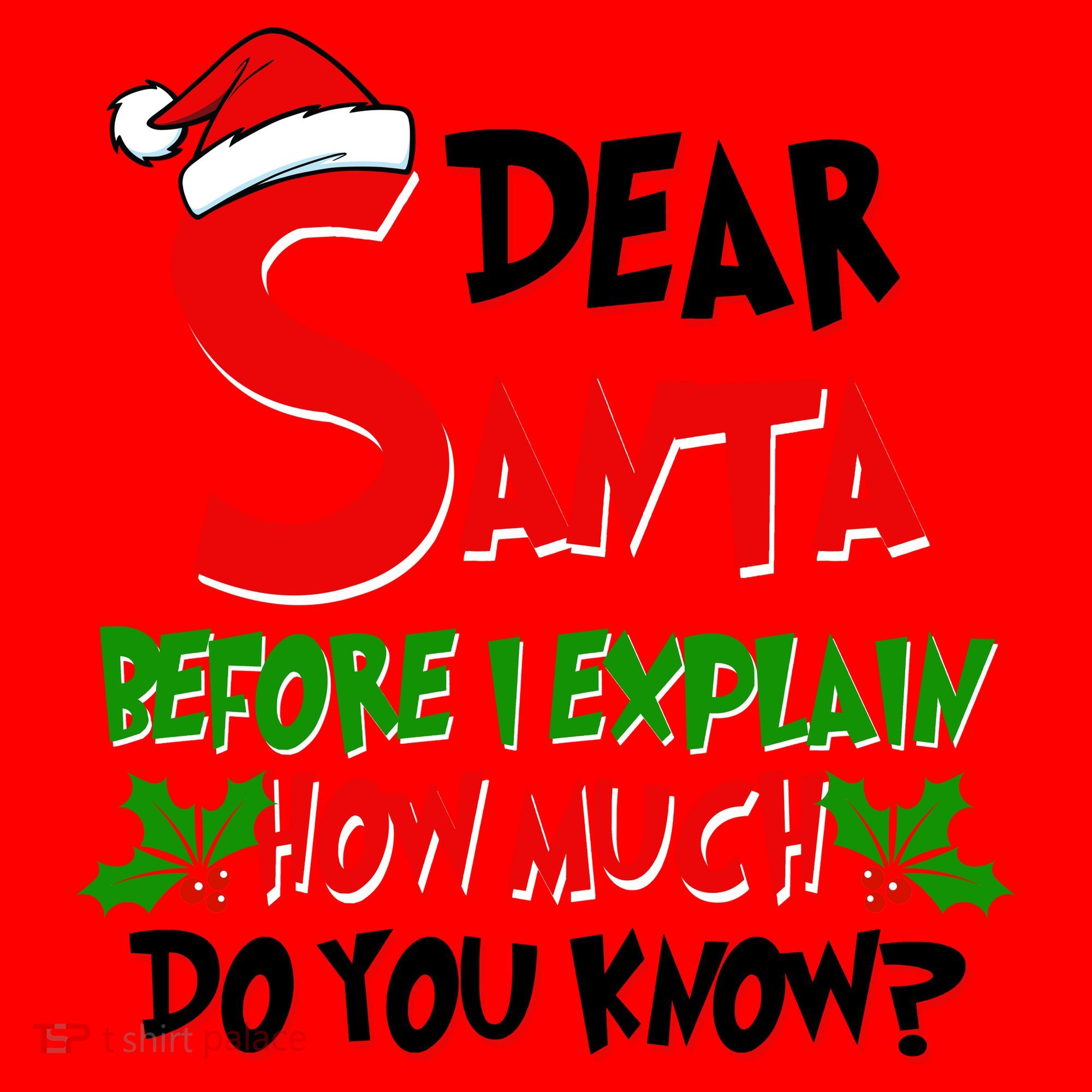Dear Santa Before I Explain How Much Do You know Santa Hat