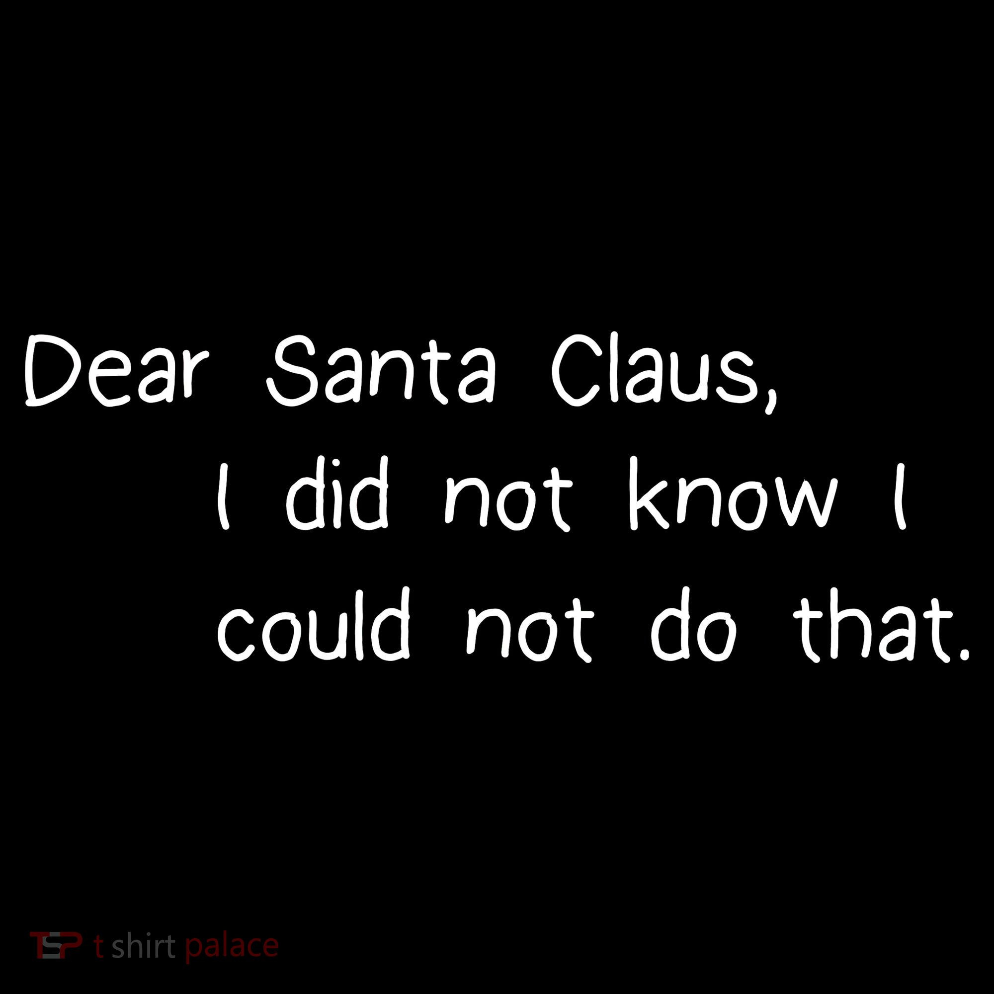 Dear Santa Claus I Did Not Know I Could Not Do That Women's Hoodie