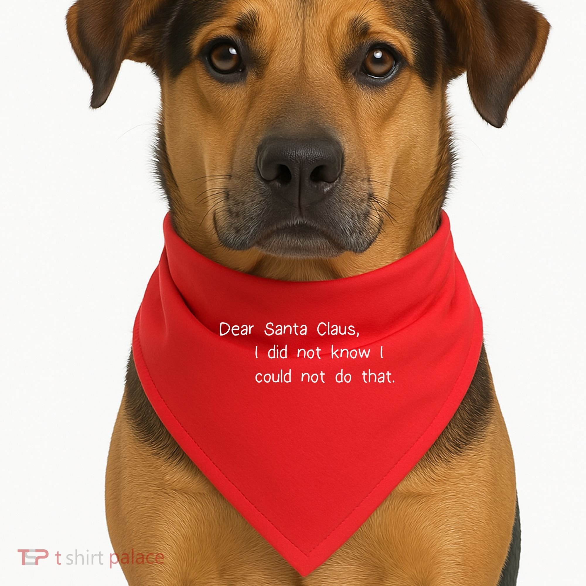 Dear Santa Claus I Did Not Know I Could Not Do That USA-Made Doggie Bandana