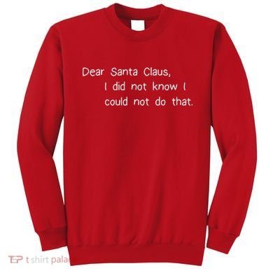 Dear Santa Claus I Did Not Know I Could Not Do That Sweatshirt