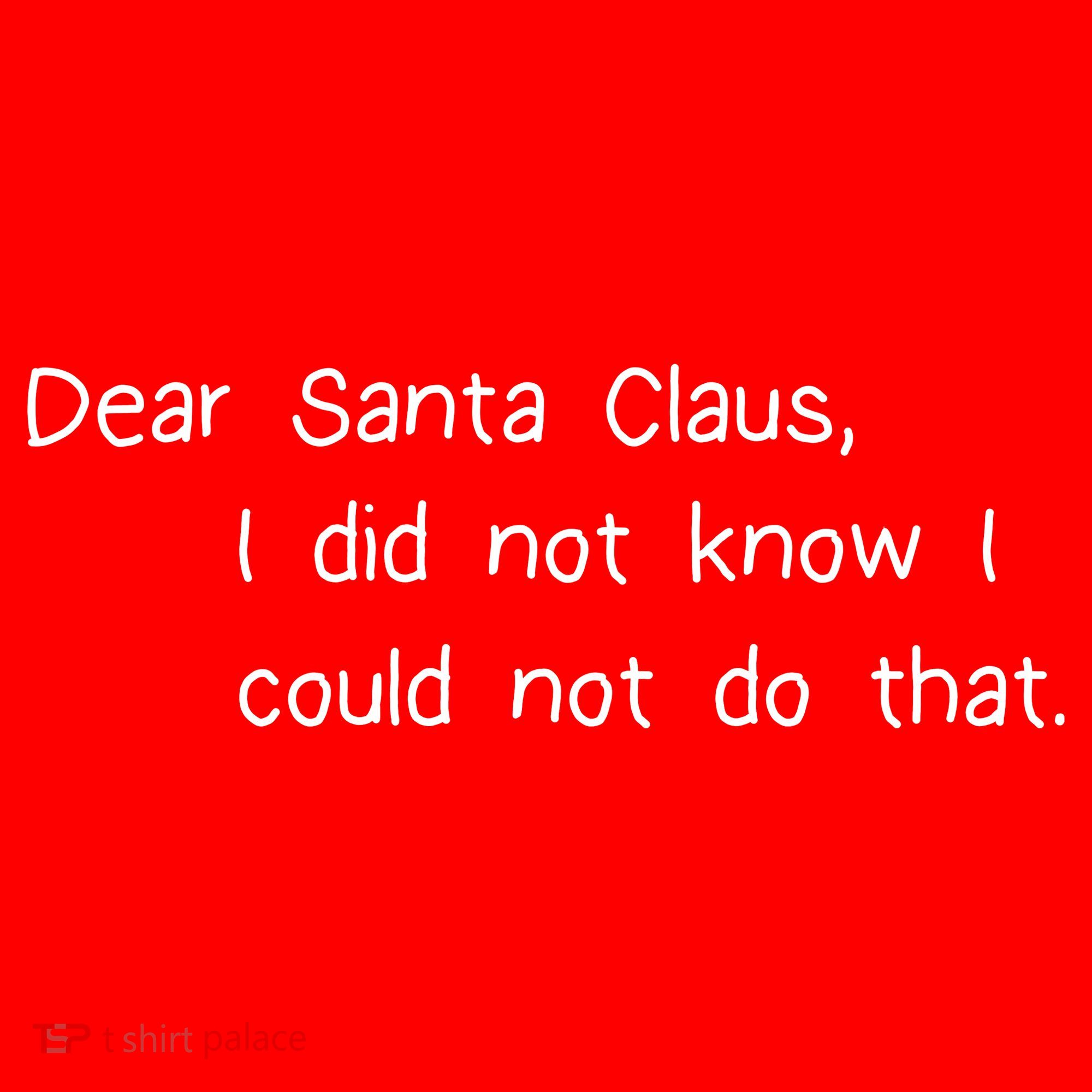 Dear Santa Claus I Did Not Know I Could Not Do That T-Shirt