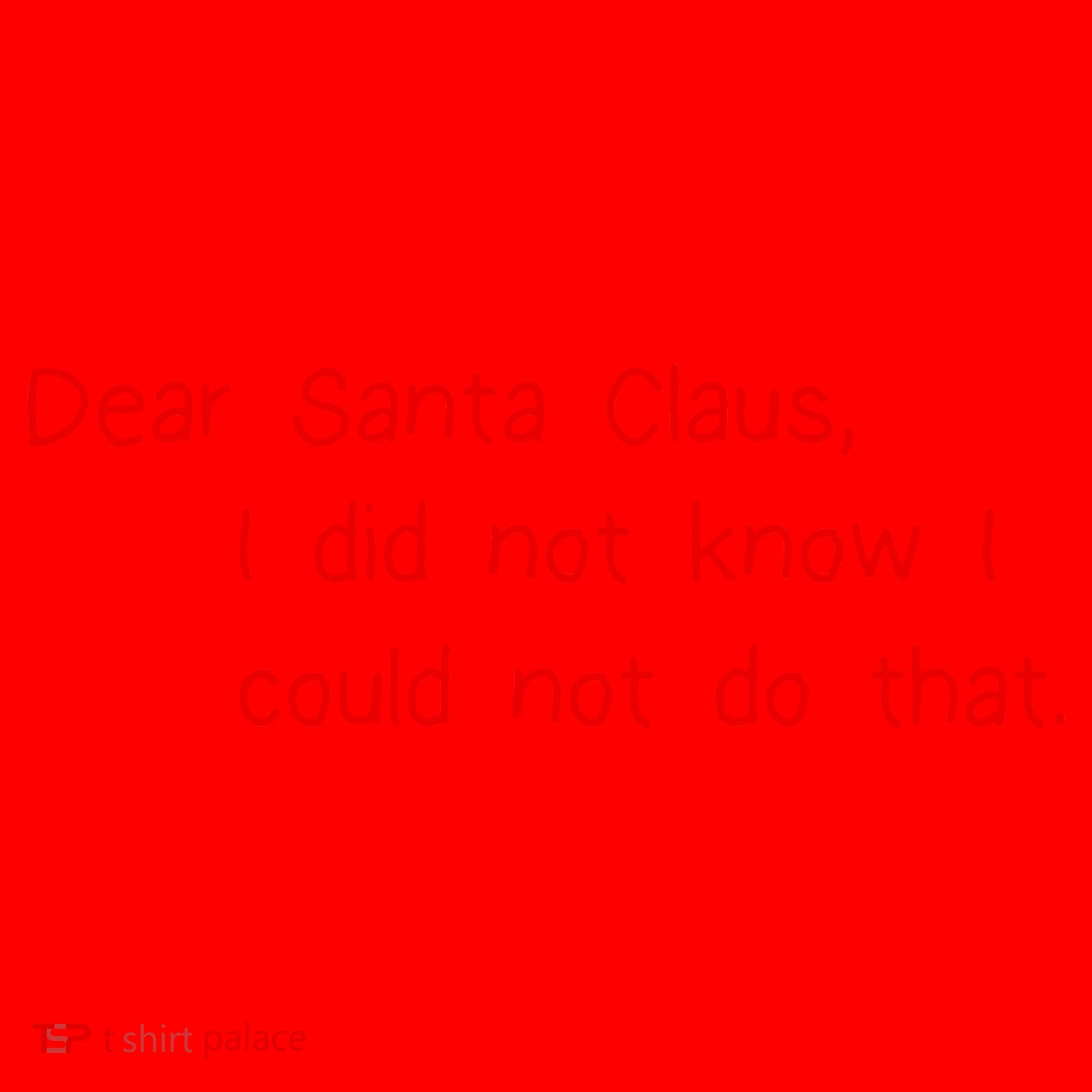 Dear Santa Claus I Did Not Know I Could Not Do That Santa Hat