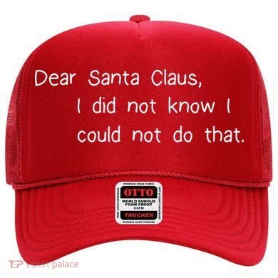 Dear Santa Claus I Did Not Know I Could Not Do That Hat