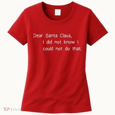 Dear Santa Claus I Did Not Know I Could Not Do That Women's T-Shirt