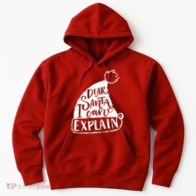 Dear Santa I Can Explain Hoodie