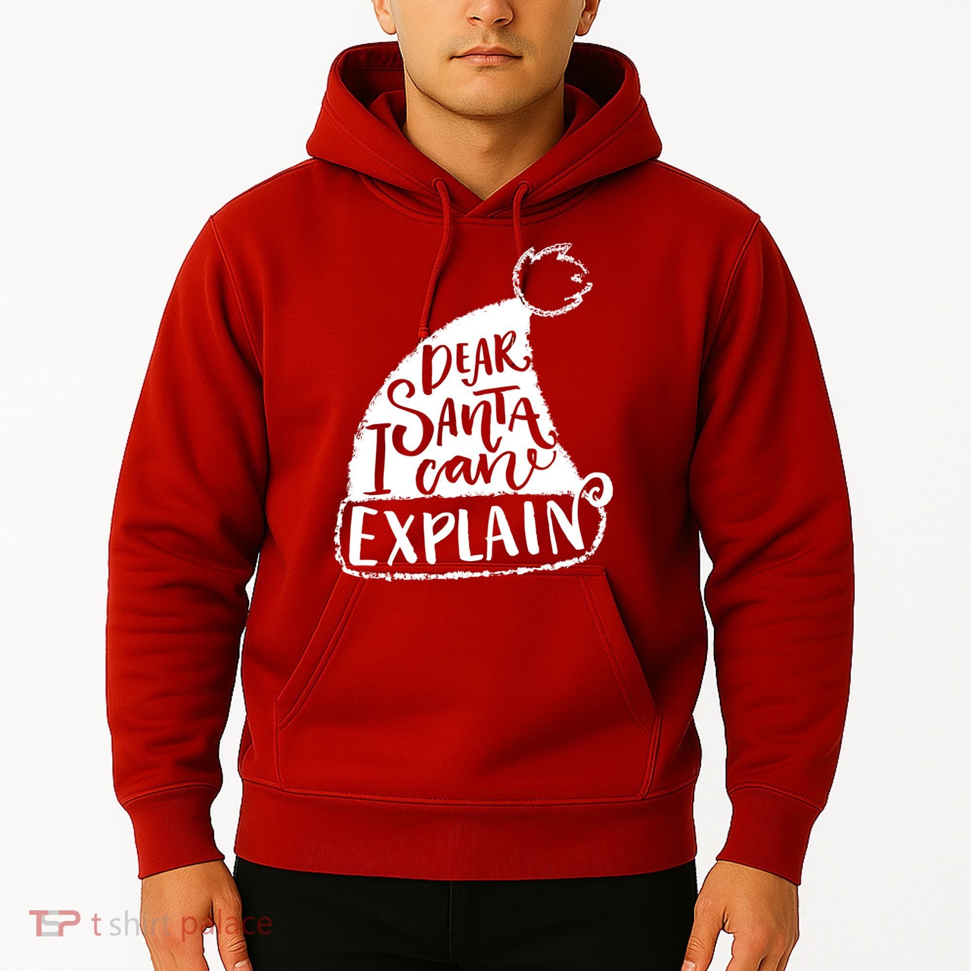 Dear Santa I Can Explain Hoodie
