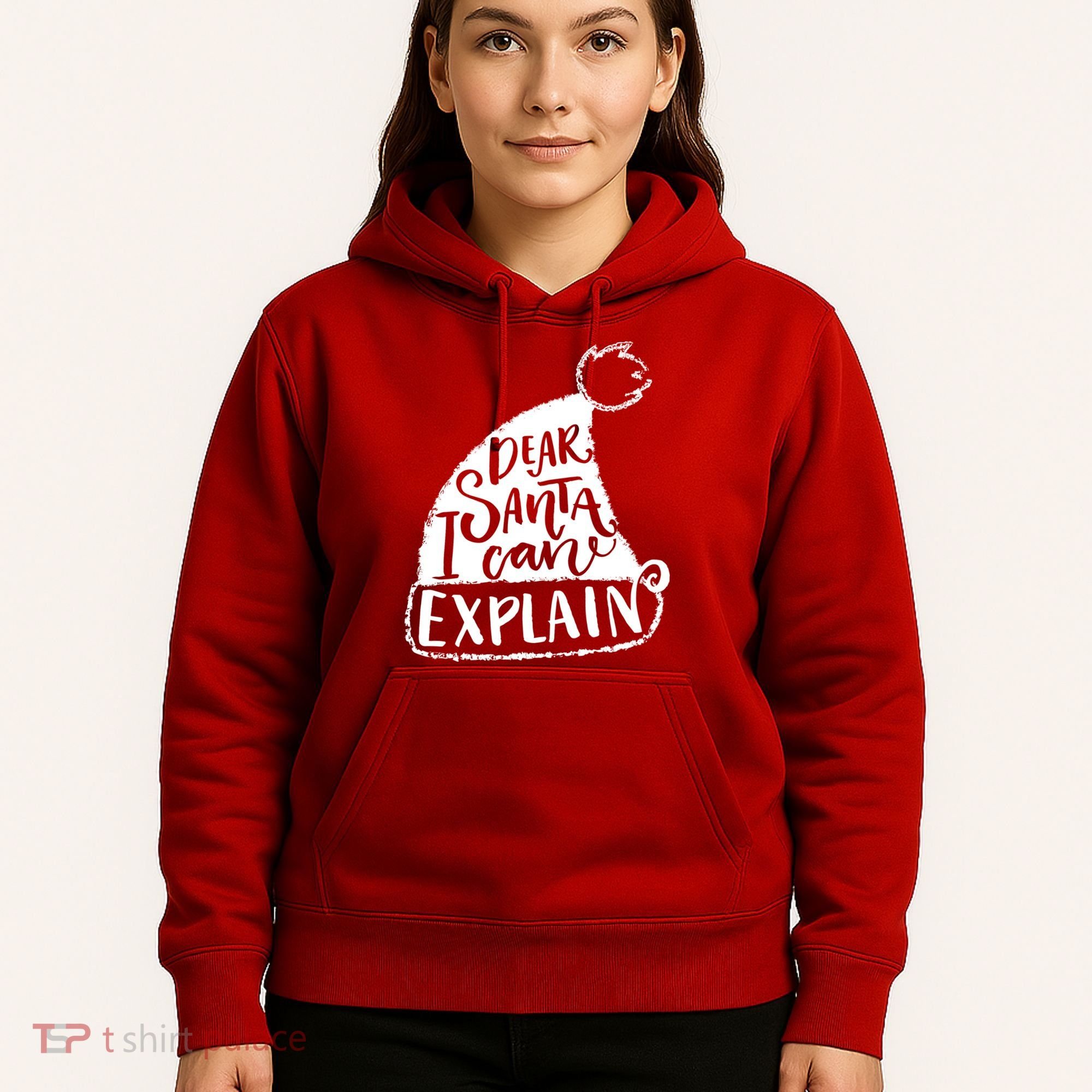 Dear Santa I Can Explain Hoodie