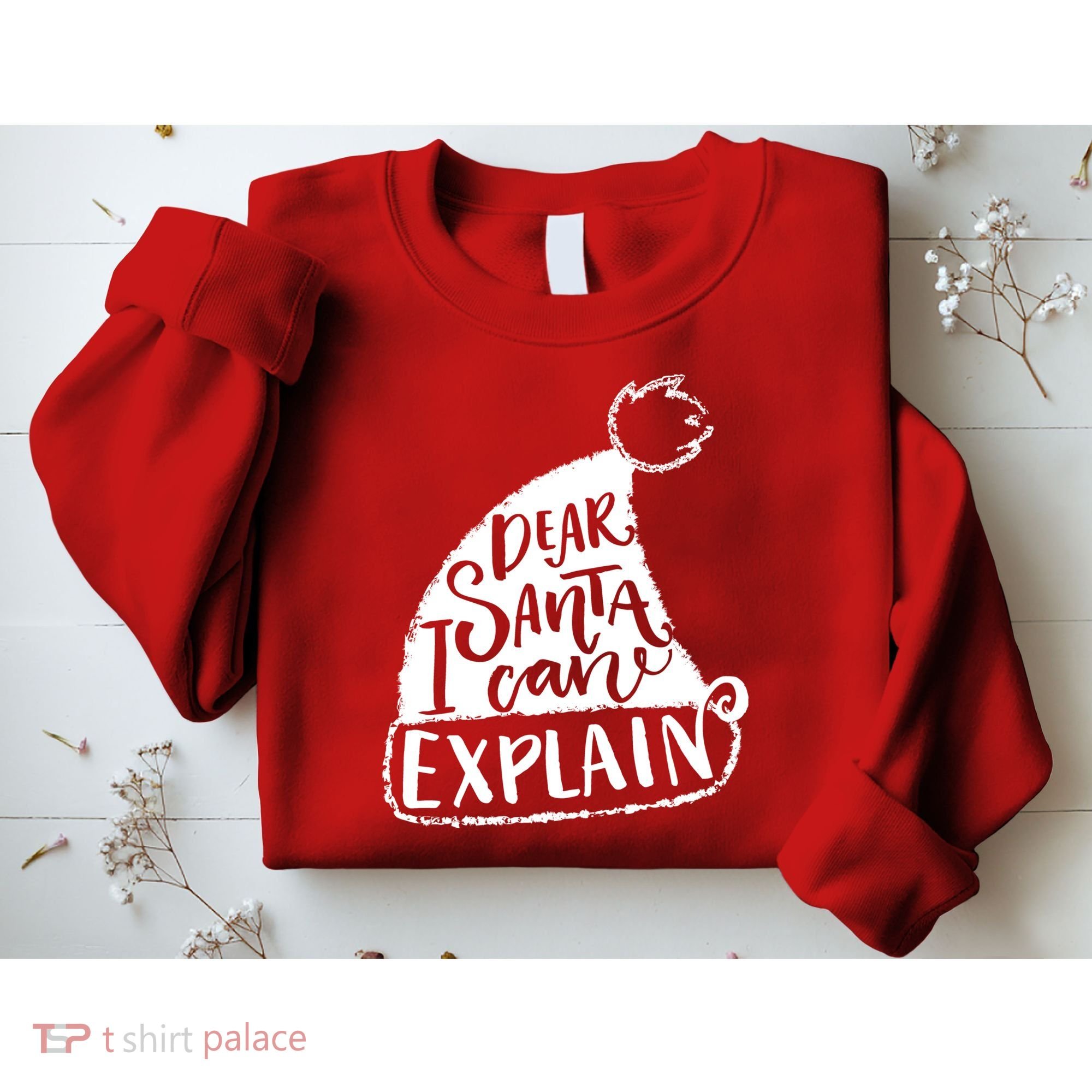 Dear Santa I Can Explain Sweatshirt