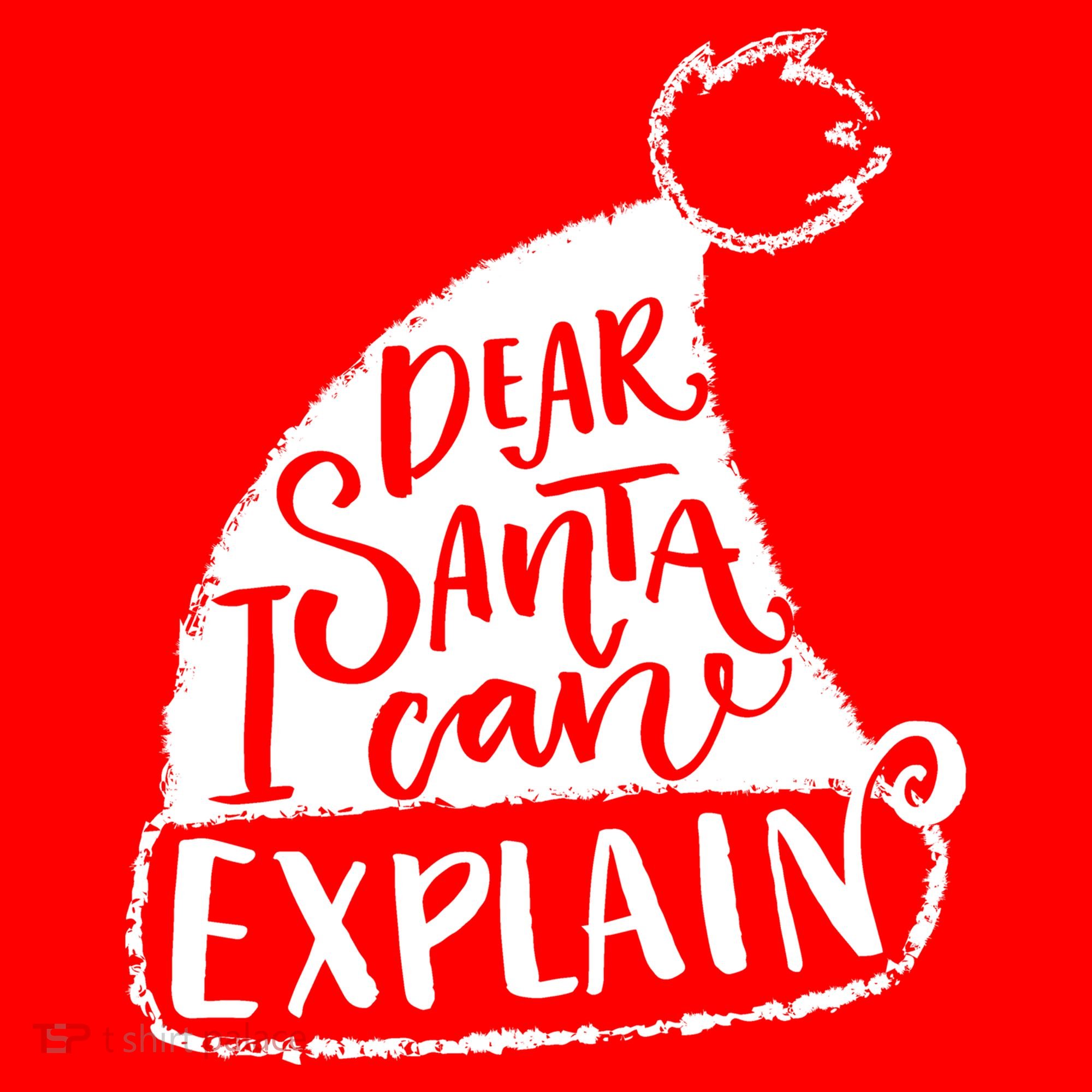 Dear Santa I Can Explain Ornament