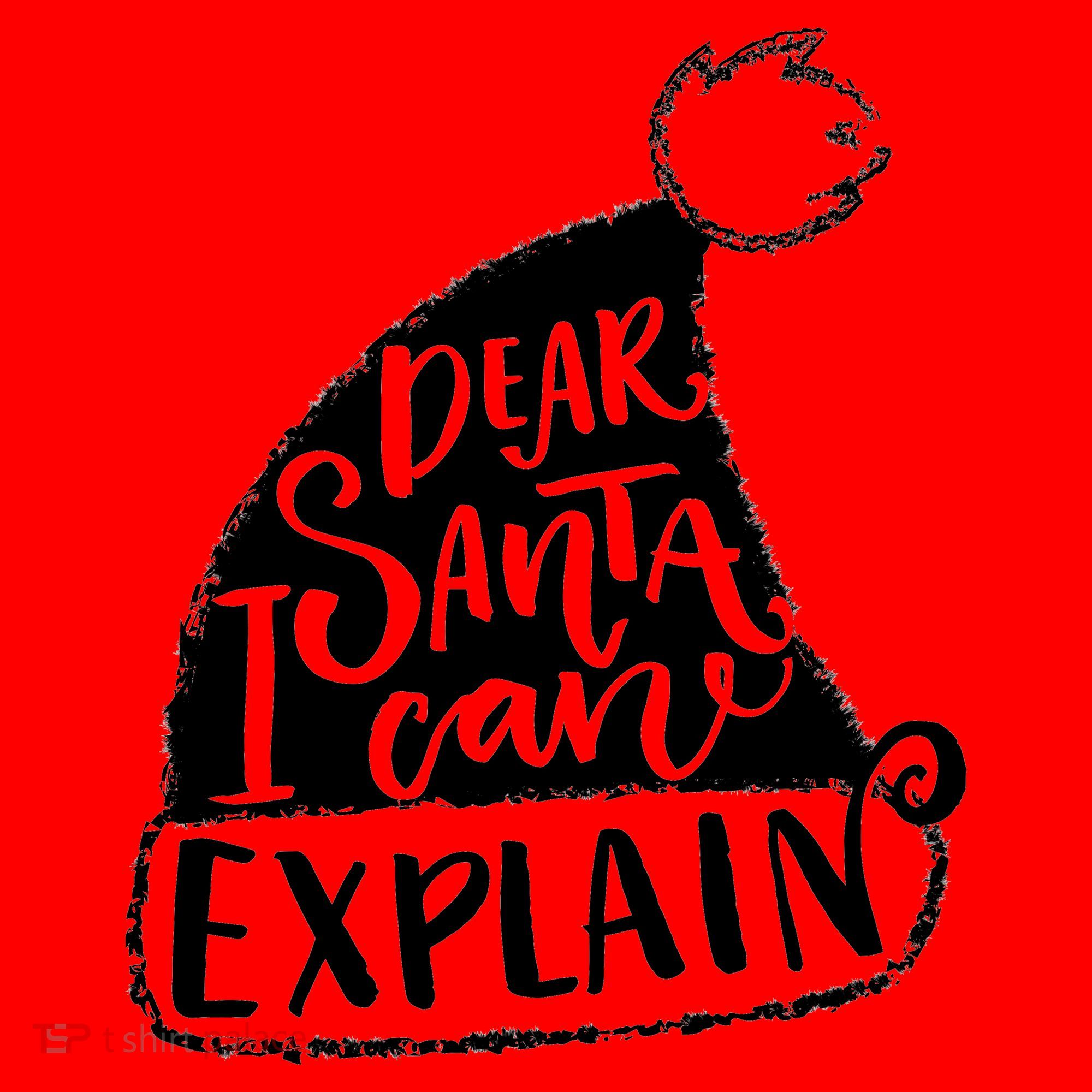Dear Santa I Can Explain Santa Hat