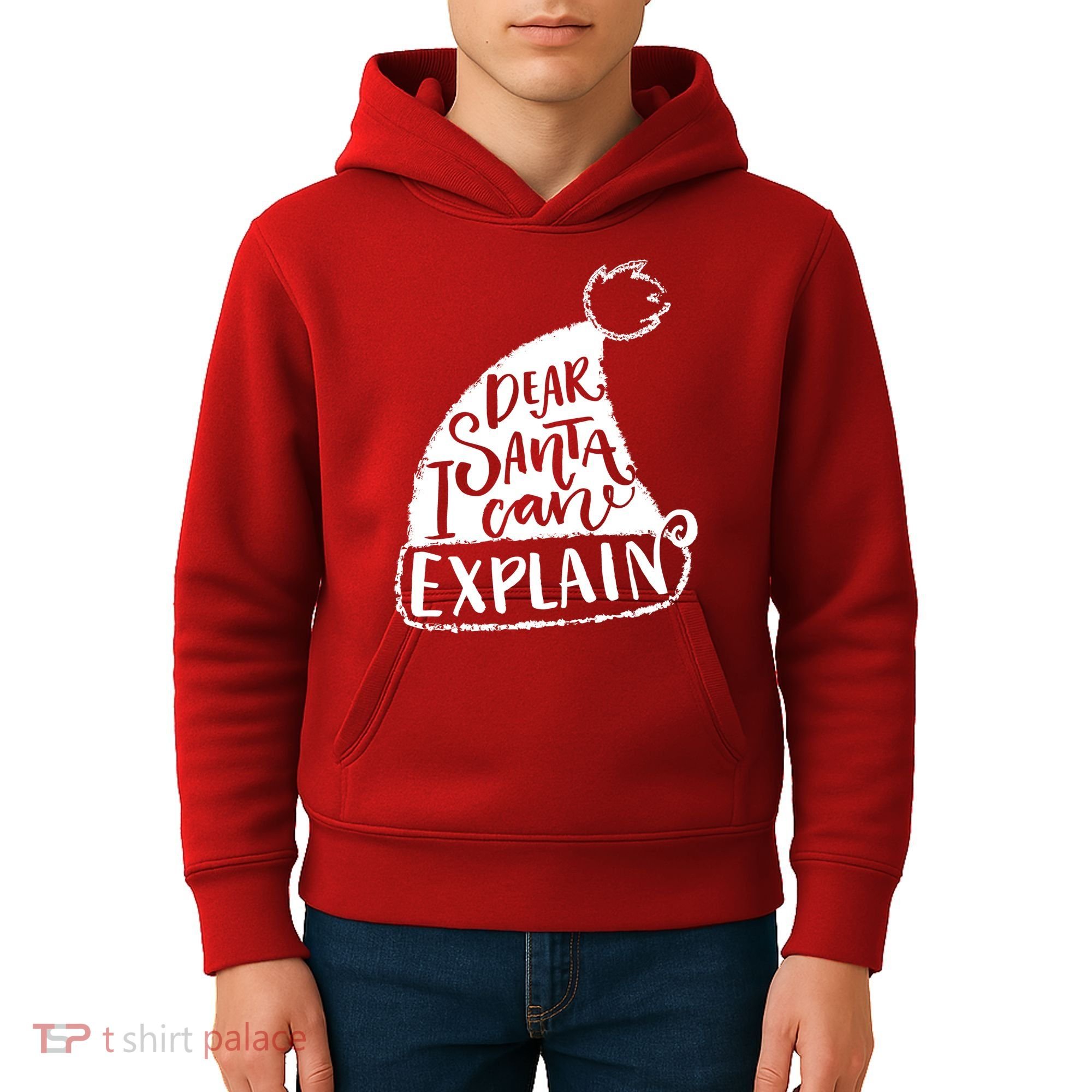 Dear Santa I Can Explain Kids Hoodie