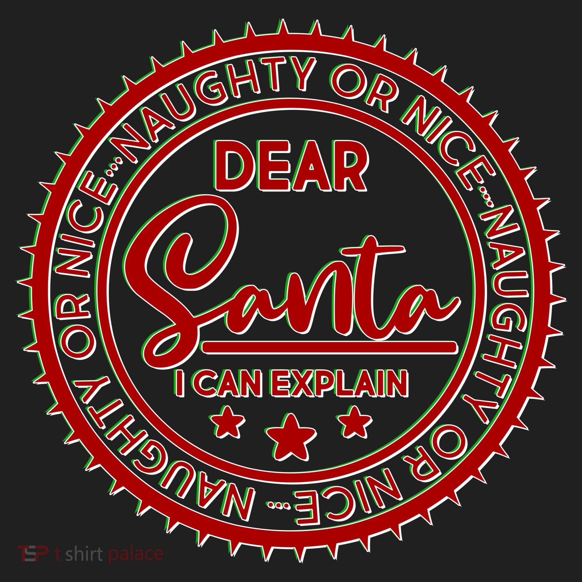 Dear Santa I Can Explain Christmas Emblem Beanie