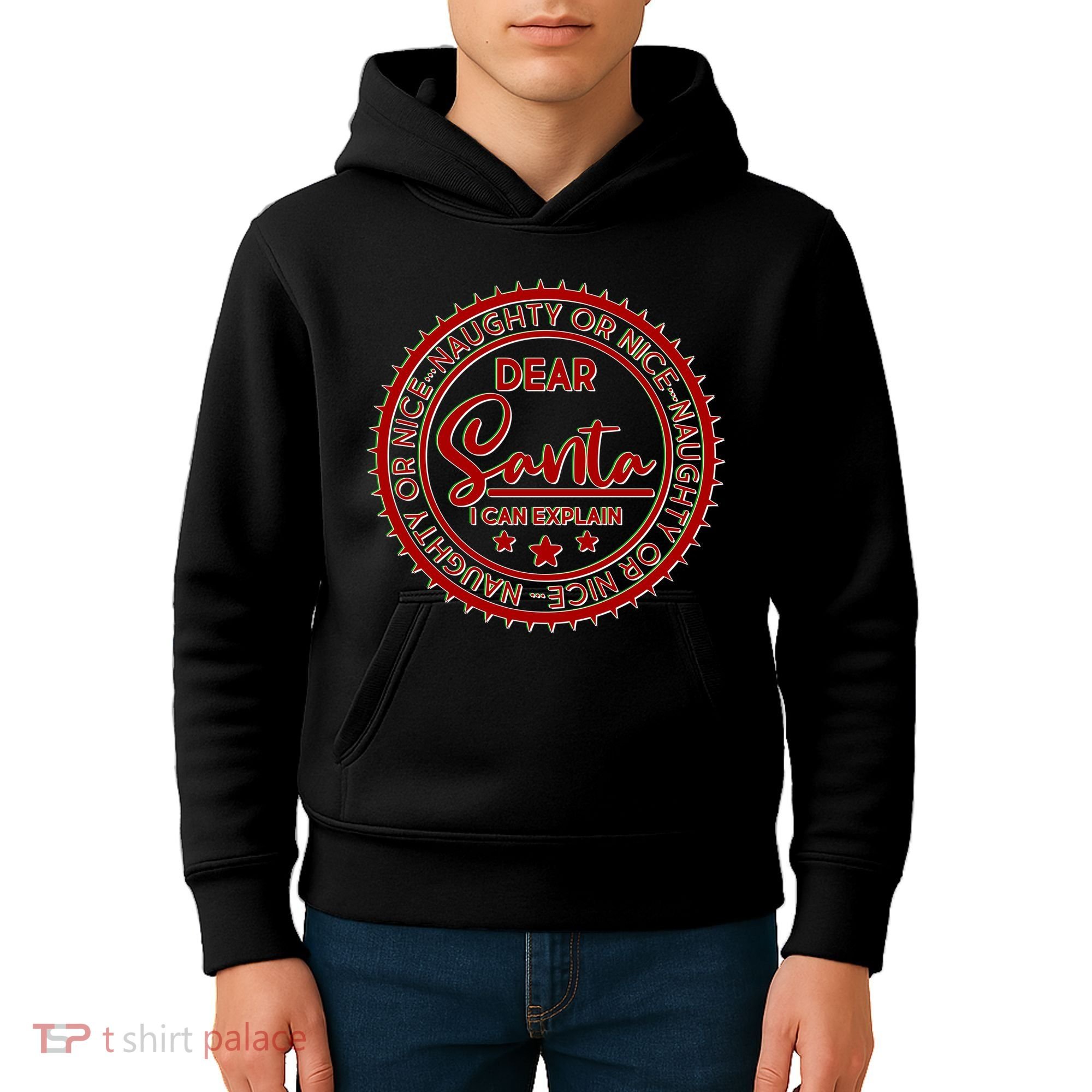 Dear Santa I Can Explain Christmas Emblem Kids Hoodie
