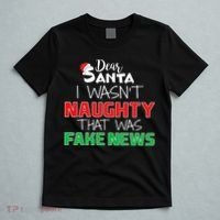 Dear Santa I Wasn't Naughty That Was Fake News T-Shirt thumb 5