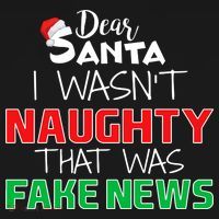 Dear Santa I Wasn't Naughty That Was Fake News Women's Hoodie thumb 2