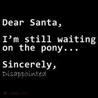 Dear Santa I'm Sincerely Disappointed No Pony Women's Hoodie thumb 2