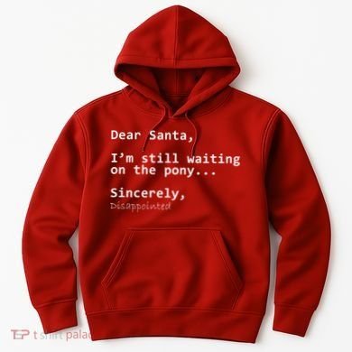 Dear Santa I'm Sincerely Disappointed No Pony Hoodie