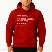 Dear Santa I'm Sincerely Disappointed No Pony Hoodie thumb 2