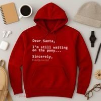 Dear Santa I'm Sincerely Disappointed No Pony Hoodie thumb 3