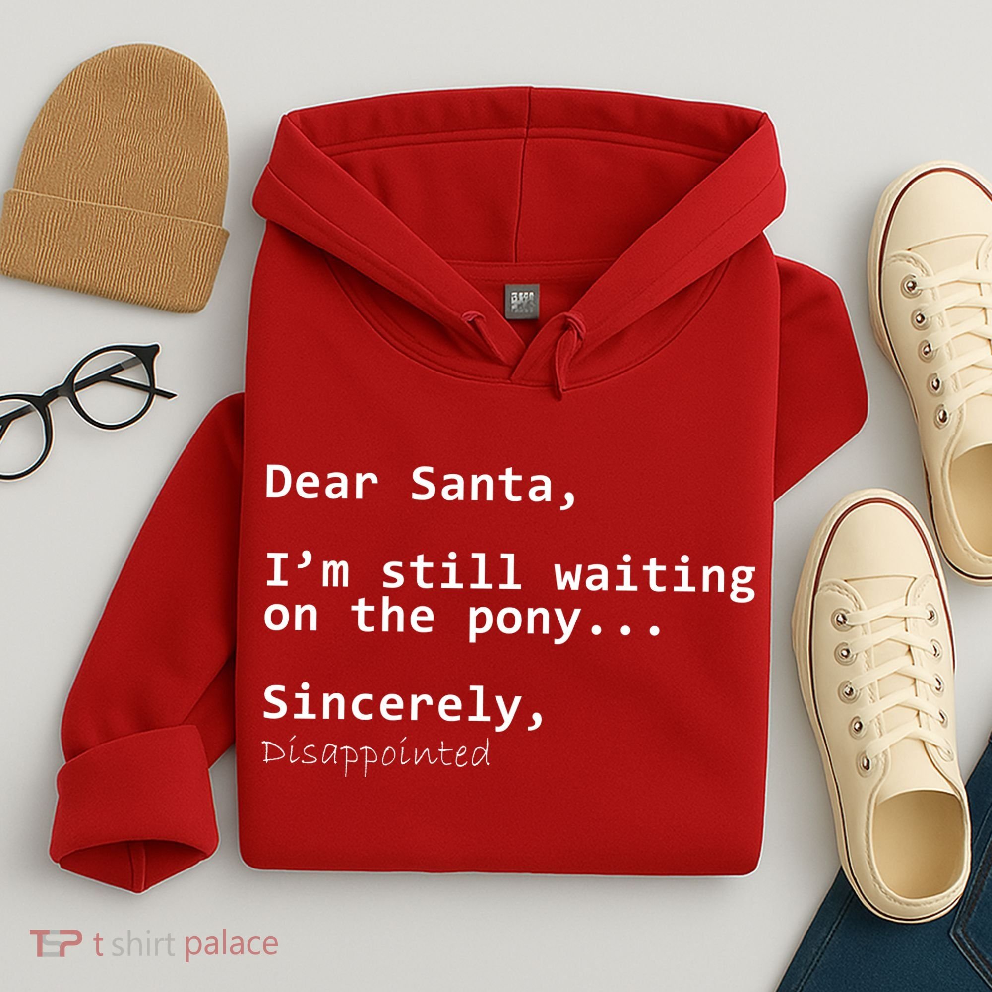 Dear Santa I'm Sincerely Disappointed No Pony Hoodie