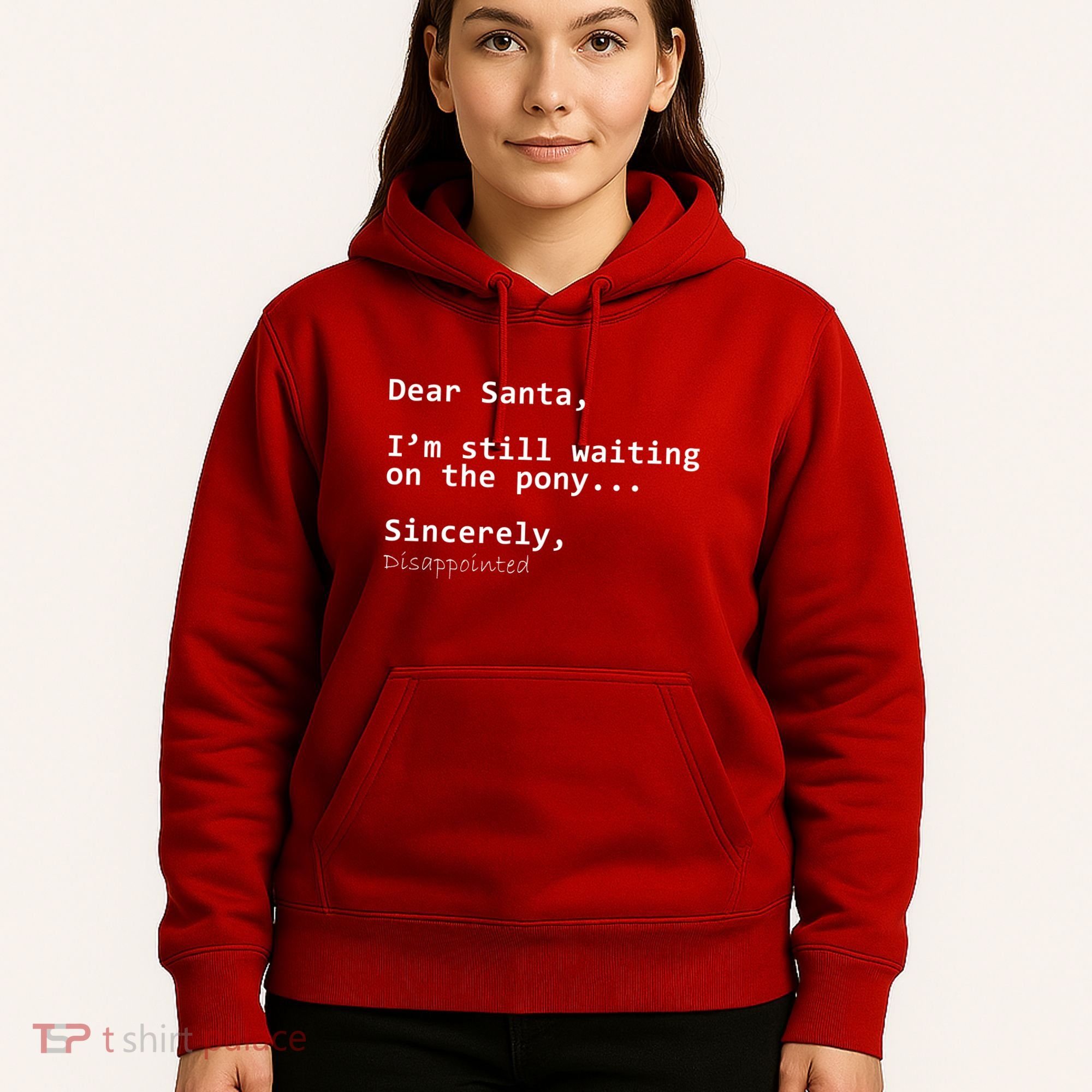 Dear Santa I'm Sincerely Disappointed No Pony Hoodie