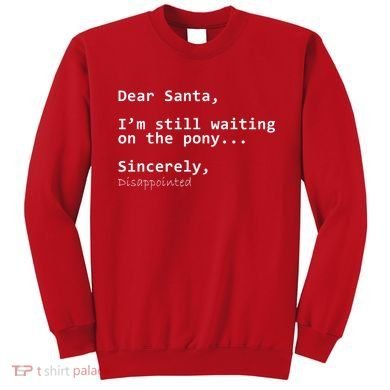 Dear Santa I'm Sincerely Disappointed No Pony Sweatshirt